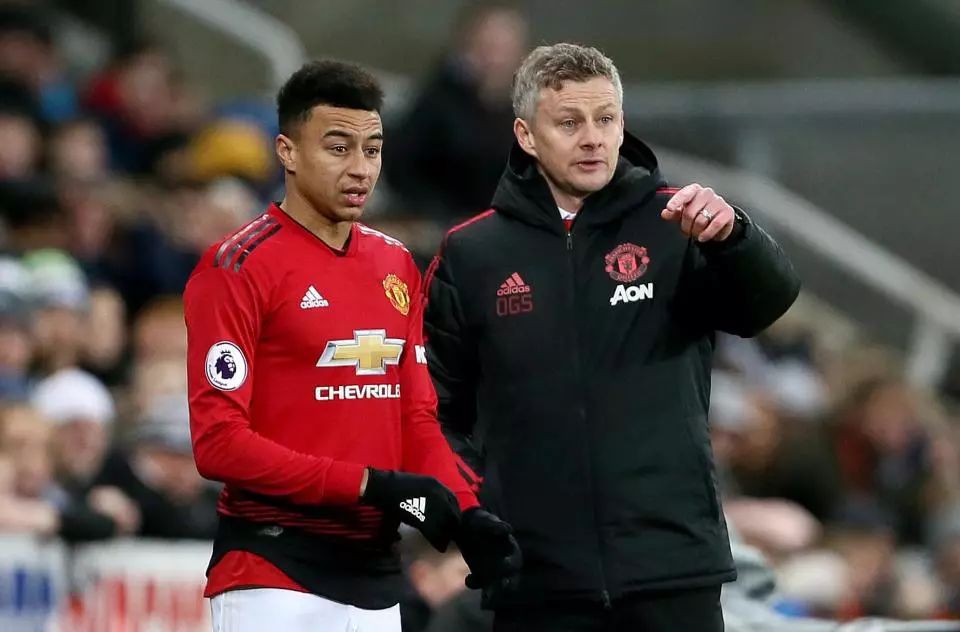 景起到决定 景起到决定